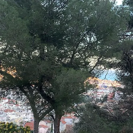 Quarto em Acomodações Particulares D Avec Clim Terrasse Et Petit Dejeuner Hauteurs De Nice